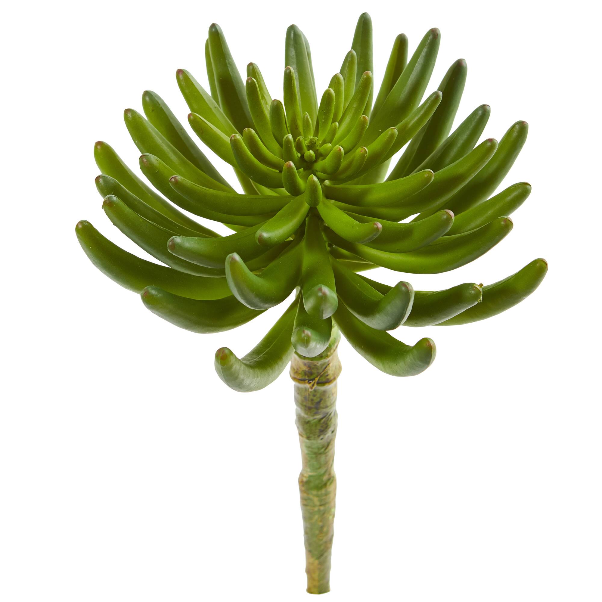 Succulent Pick, 6ct.